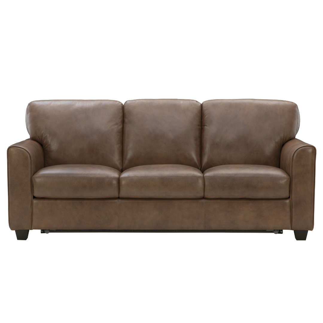 Chesnut Queen Sleeper by Warehouse M