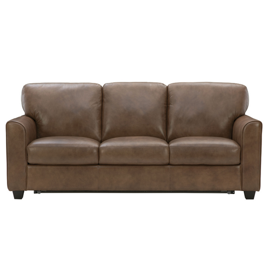 Chesnut Queen Sleeper by Warehouse M