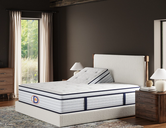 Dorsey's 50th Anniversary  ICE C-Class Cushion Plush Mattress