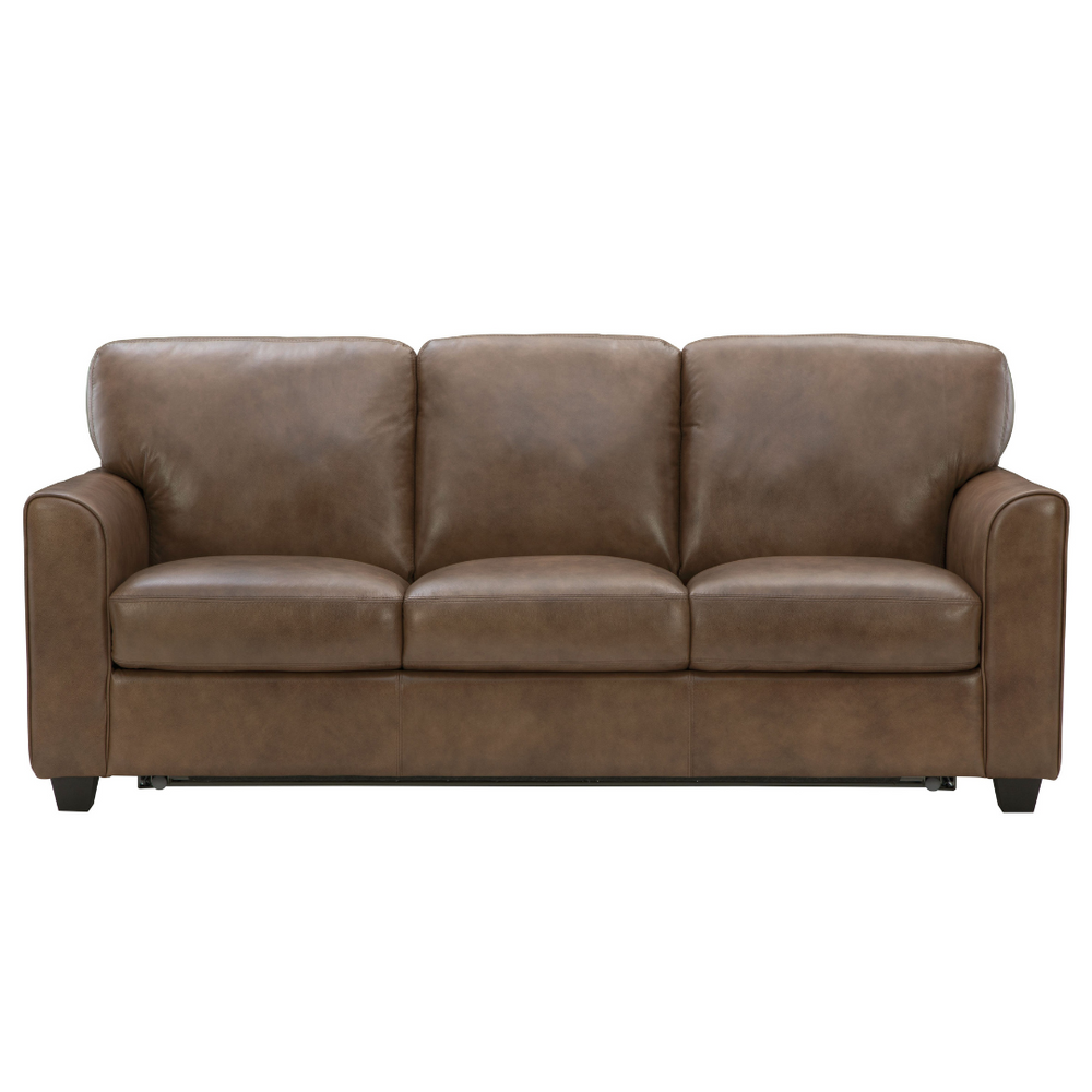 Chesnut Queen Sleeper by Warehouse M